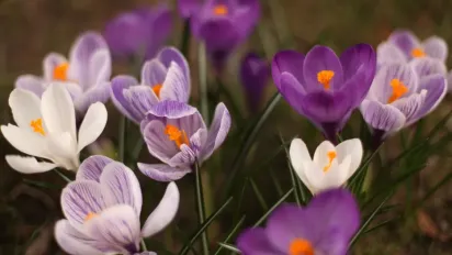 В Україні очікується спокійна весняна погода: прогноз на 26 березня - фото