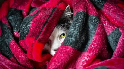 Пуховики ще знадобляться: синоптикиня попередила про похолодання в Україні - фото