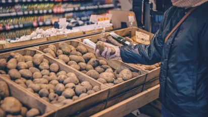 В Україні змінилися ціни на картоплю: скільки тепер коштує кілограм - фото