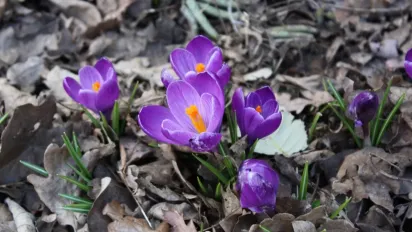 Дощі практично покинуть Україну: прогноз на 28 березня - фото