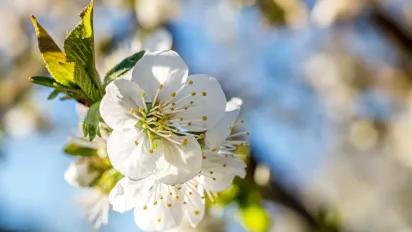 Якою буде погода у квітні 2025: синоптик дав детальний прогноз - фото