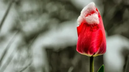 Синоптик повідомив, чи буде в Україні сніг у квітні - фото