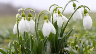 Синоптикиня Діденко попередила українців про негоду 29 березня - фото