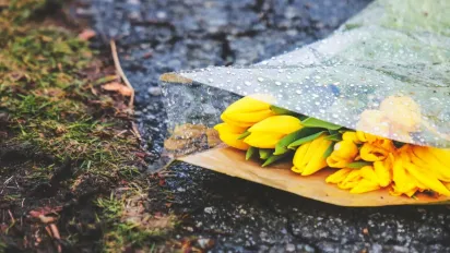 Субота в Україні буде теплою, але з нюансами: прогноз погоди на 29 березня - фото