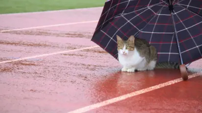 Синоптикиня розказала про зміну погоди в Україні найближчими днями - фото