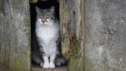 Березень в Україні завершиться похолоданням, - Укргідрометцентр - фото