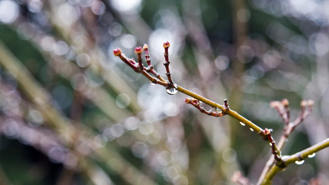 Тепло відступає: сьогодні погода в Україні почне змінюватися 