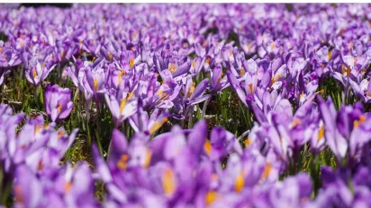 Синоптики розповіли про погоду на останній день березня: що чекати - фото