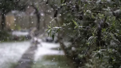 Квітень принесе в Україну дощі, мокрий сніг і сильне похолодання: прогноз синоптика - фото