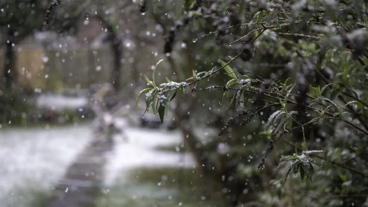 Квітень принесе в Україну дощі, мокрий сніг і сильне похолодання: прогноз синоптика 