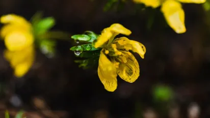 В Україну насувається циклон: синоптикиня повідомила, як зміниться погода - фото