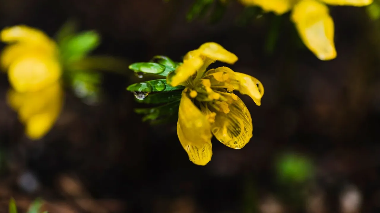 В Україну насувається циклон: синоптикиня повідомила, як зміниться погода 