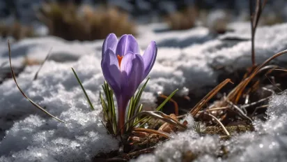 Синоптикиня повідомила, як довго в Україні триватиме похолодання - фото