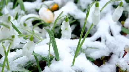 Похолодання, сніг та вітер: синоптикиня Діденко повідомила, де очікувати негоду - фото