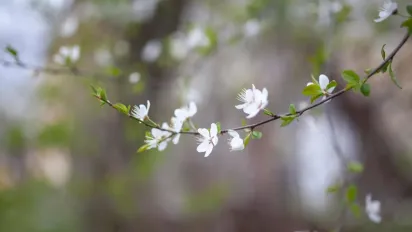 П'ятниця потішить українців чудовою погодою: прогноз на 4 квітня - фото