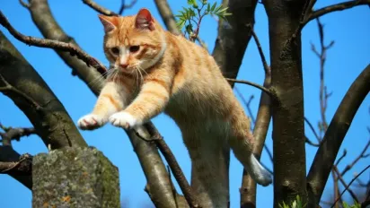 Погода потішить українців розкішним теплом, але попереду - похолодання: прогноз на 4 квітня - фото