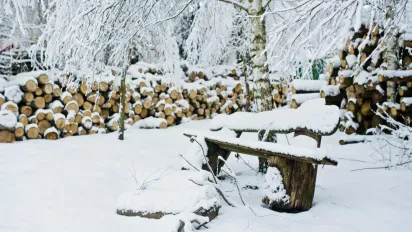 Навалить до 15 см снігу й вдарить "мінус": до України повертається зима - фото