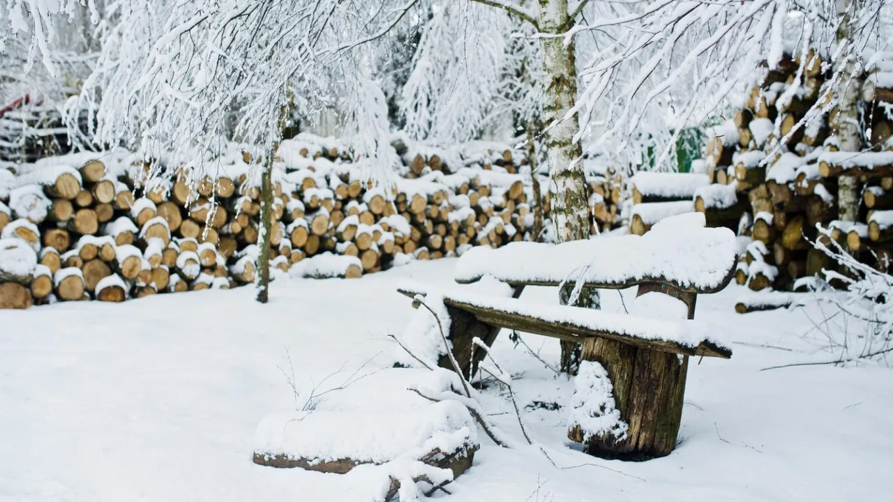 Навалить до 15 см снігу й вдарить "мінус": до України повертається зима 