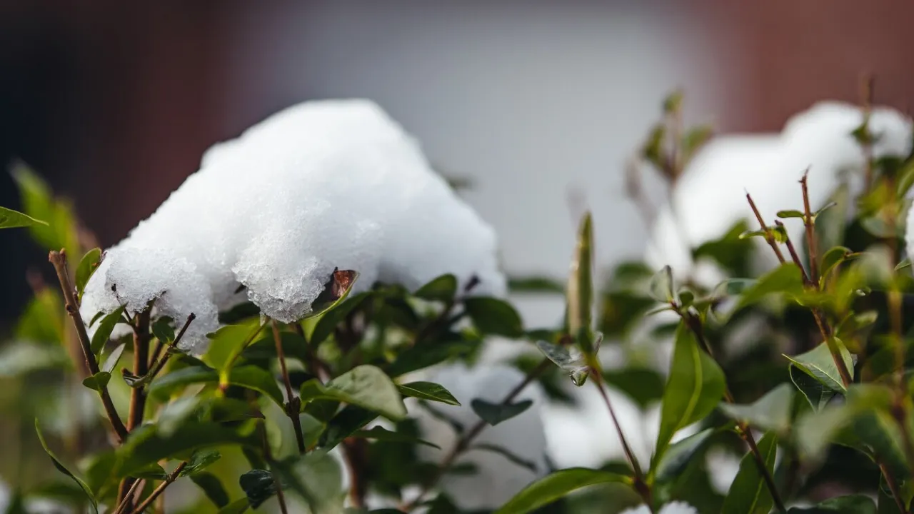 Краще сидіти вдома: синоптикиня попереджає про повернення зими до України 