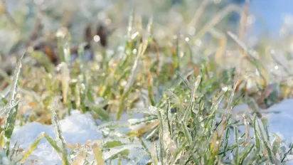 На вихідних в Україну увірветься зима з морозами та снігом: прогноз погоди - фото