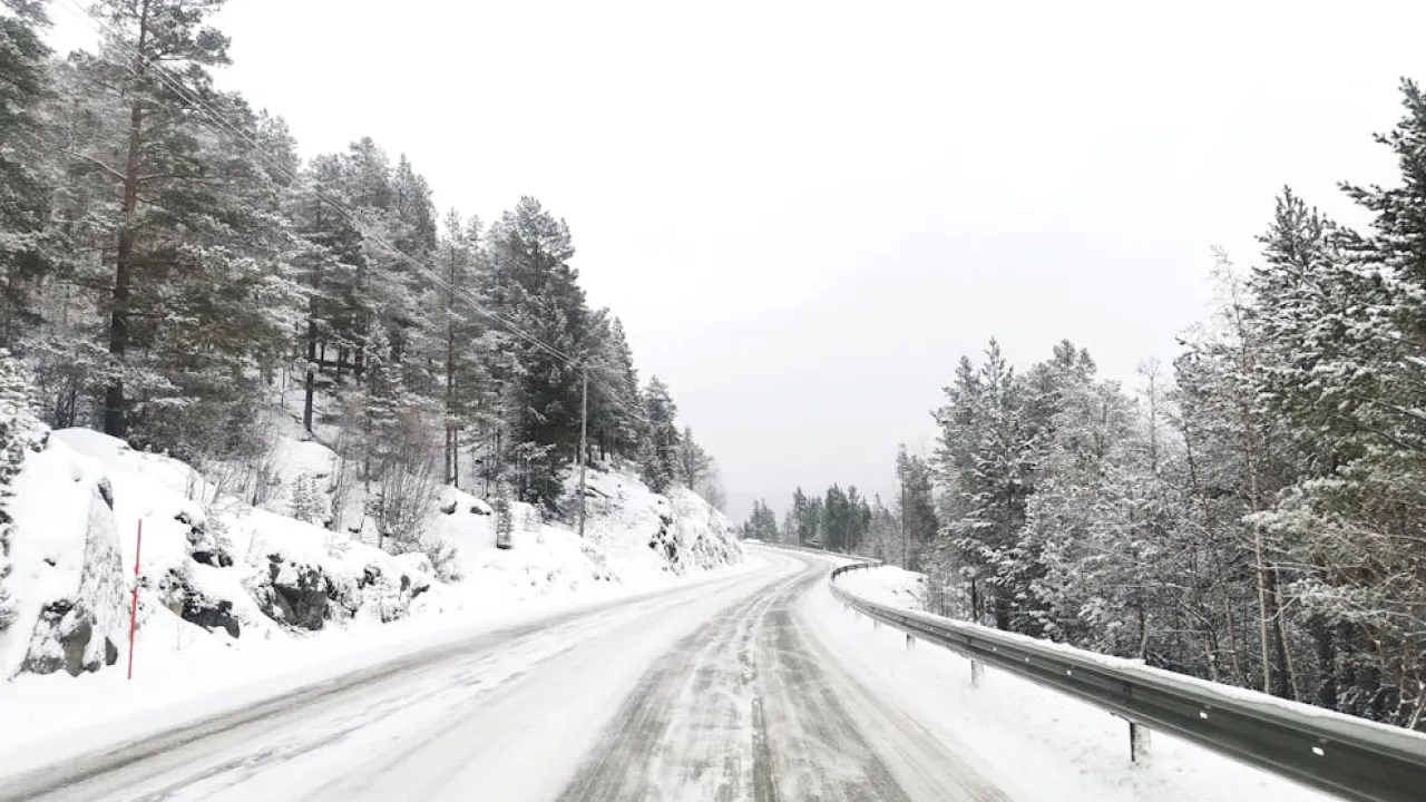 Зима повернулась: Україну засипає снігом 