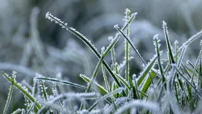 В Україну прийшли весняні заморозки: як це вплине на врожай - фото