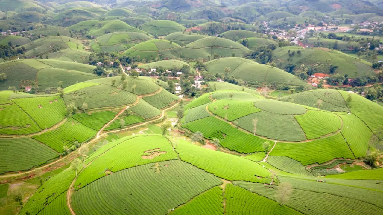 Оборудки з нерухомістю, які відбулися за останнє десятиліття, узаконять: Зеленський підписав закон 