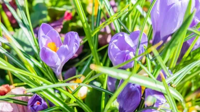 Як зберегти здоров'я родини 9 квітня: народні традиції та прикмети - фото