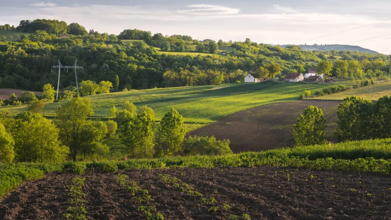 Примусово вилучатимуть землю: Зеленський підписав закон – вже відомо, де почнуть 