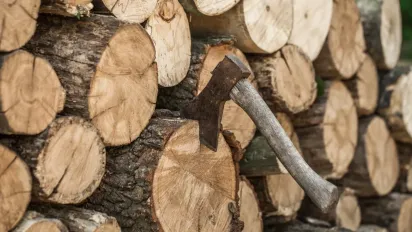 Дрова, які не варто купувати: що не горить, а тліє та засмічує димохід - фото