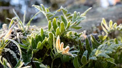 Арктичне повітря в Україні: чого чекати від погоди у травні - фото