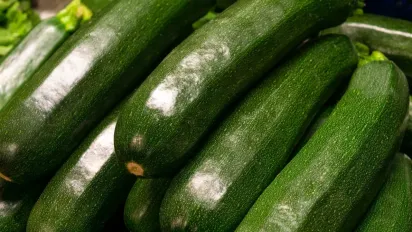 Секрети багатого врожаю кабачків: що додати в лунку при посадці - фото