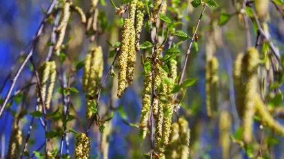 Що потрібно принести в дім 11 квітня: народні обереги від пожежі та блискавки - фото