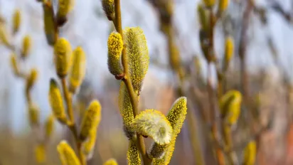 До України йде тепло з півдня Європи: прогноз синоптика - фото