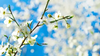 Великий вівторок: що потрібно зробити 15 квітня для достатку та багатства - фото