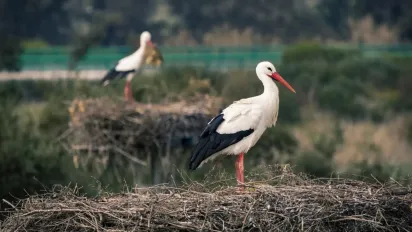 Україну накриє антициклон: прогноз синоптика - фото