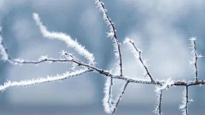 Весна скасовується? У травні в Україні очікують мороз до -2°C - фото