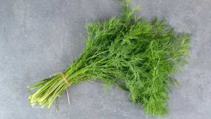 Що не можна садити поруч з кропом: головні помилки городників - фото