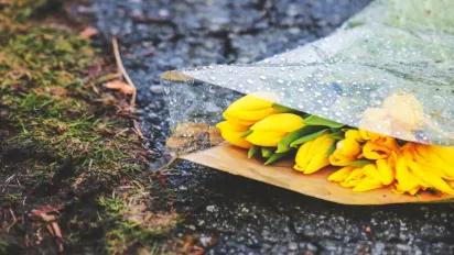 Завтра до України несподівано прийде похолодання: якою буде погода - фото