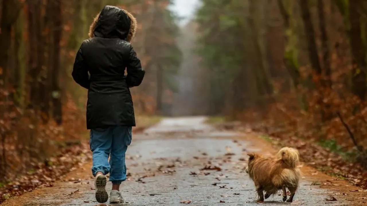 Саме ці 5 звичок щодня зміцнюють імунітет: експерти підтверджують їхню ефективність 