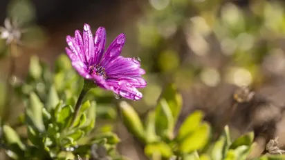 Прогноз погоди на Великдень 2025: що обіцяють синоптики - фото