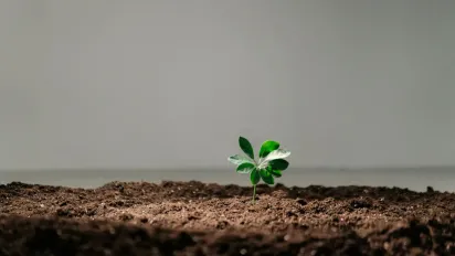 Чому перекопування навесні може врятувати ваш город — або знищити його - фото