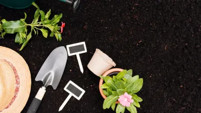 Коли після Великодня можна працювати на городі: традиції, прикмети та поради - фото