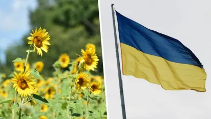 "Золота жила України": в чому Україна найбагатша в світі? - фото