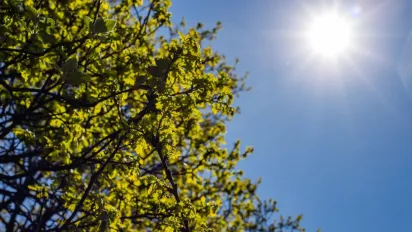 Великодні вихідні потішать українців літнім теплом: прогноз погоди на 19–20 квітня - фото