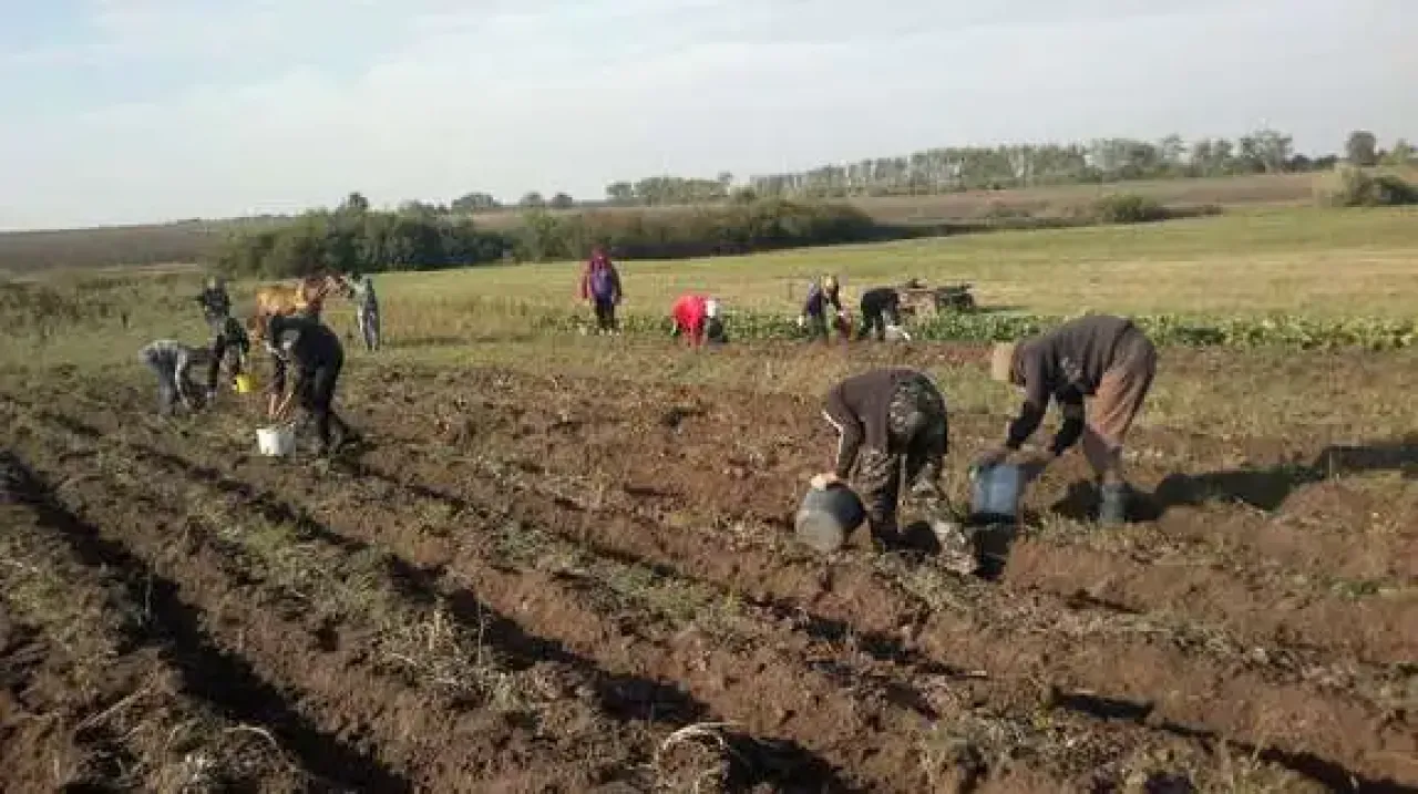Дощ 22 квітня - до щедрих врожаїв: які ще прикмети існують цього дня? 