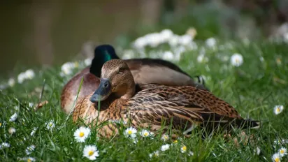 Спека до + 26° і дощ: прогноз погоди на 21 квітня - фото