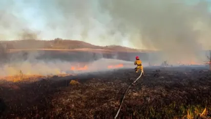 Черкаські палії сухостою наробили біди: горять торфовища - фото