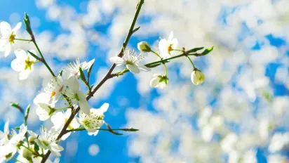 Тепло зміниться на прохолоду: прогноз погоди на тиждень - фото