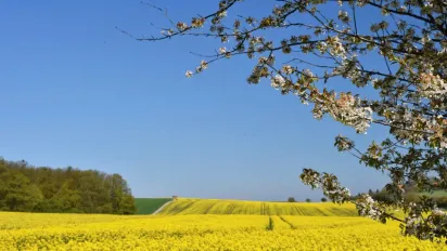 23 квітня — День святого Юрія: традиції, вірування та заборони свята - фото